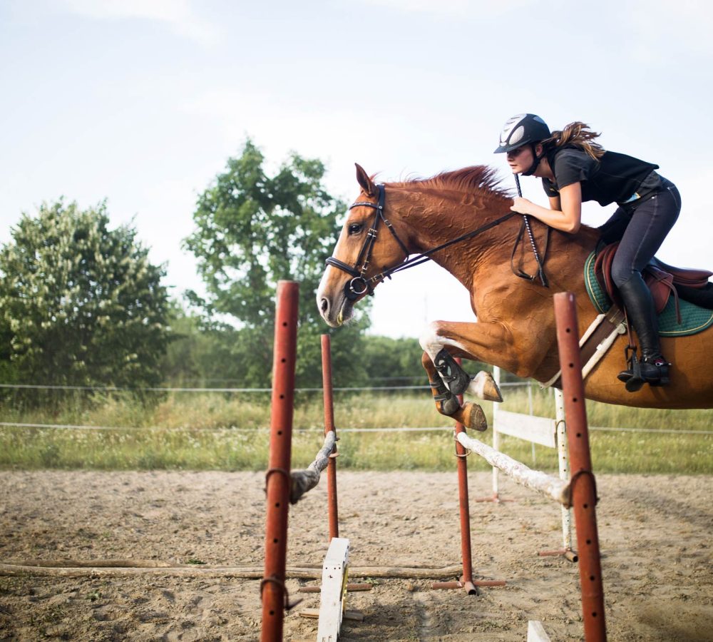 female-jockey-on-horse-leaping-over-hurdle-XJR6CZT.jpg