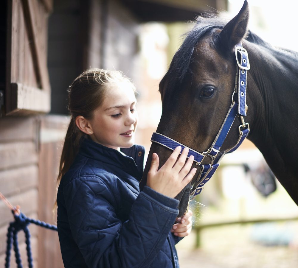Girl horseback rider petting horse